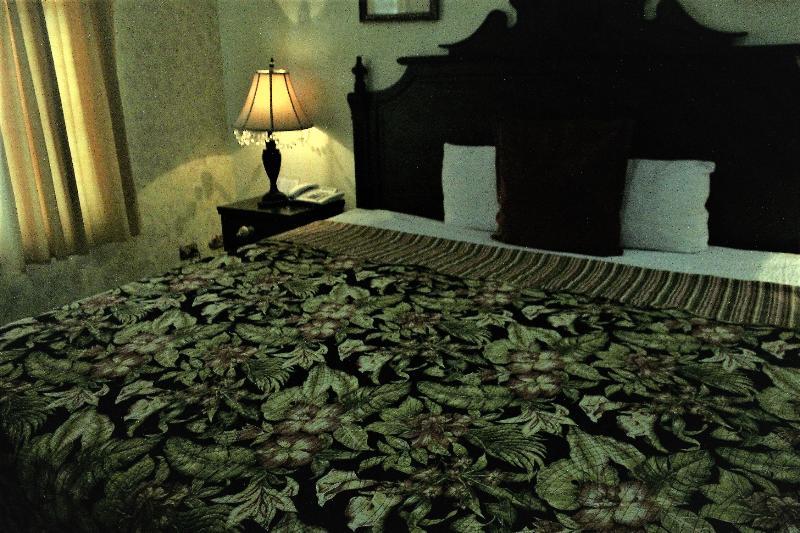 Hotel Aloha マナグア エクステリア 写真